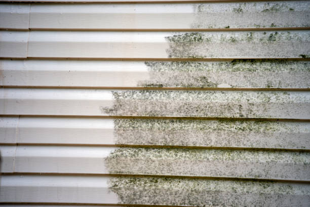 Best Garage Cleanout  in Potosi, MO